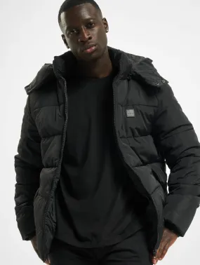 Hooded Puffer